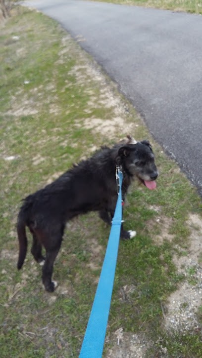 Tramier Peinture, Peintre en Bâtiment à Orange