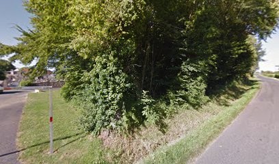 Robert Lionel, Peintre en Bâtiment à Saint-Sornin-Lavolps