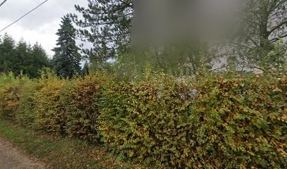 Sarl Ethievant, Peintre en Bâtiment à Ney