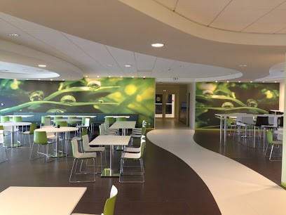 Niel Jean-François, Peintre en Bâtiment à Saint-Jean-sur-Vilaine