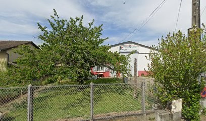 Entreprise Pesenti Pere Et Fils, Peintre en Bâtiment à Sérézin-du-Rhône