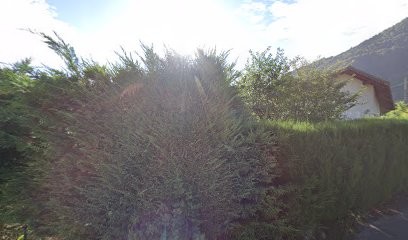 Pommier Patrick, Peintre en Bâtiment à Vougy
