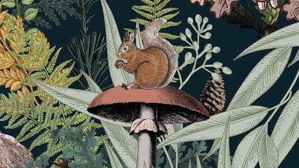 Cleo Peintre, Peintre en Bâtiment à Saint-Julien-de-Concelles