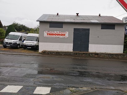 Triboulois Peinture, Peintre en Bâtiment à Flers