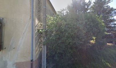 Colfort Jean-Pierre, Peintre en Bâtiment à Puits-et-Nuisement