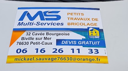 MS Multi-Services, Peintre en Bâtiment à Petit-Caux