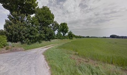 Le P'tit Peintre, Peintre en Bâtiment à Terres-de-Caux