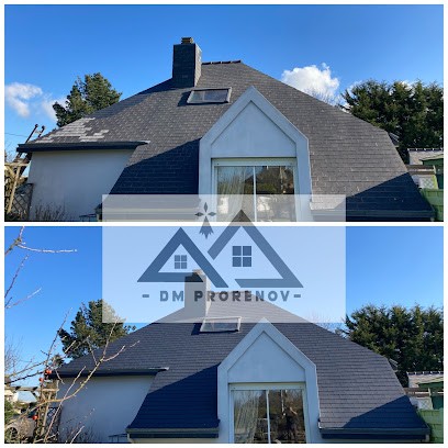 Dmprorenov artisan peintre en bâtiment ravalement couverture nettoyage Saint Brieuc 22 couvreur, Peintre en Bâtiment à Plédran