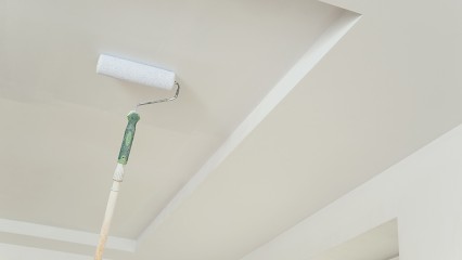 Entreprise Petetin, Peintre en Bâtiment à Saint-Denis-lès-Bourg