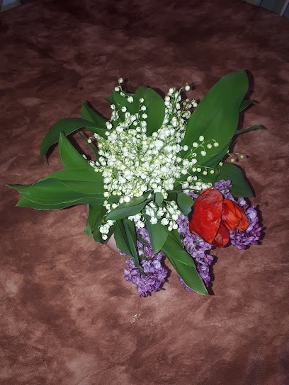 Alex Peinture, Peintre en Bâtiment à Chamagnieu