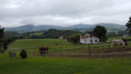 Zudaire Serge, Peintre en Bâtiment à Souraïde
