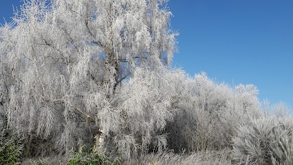 Eurl Simon Jérôme, Peintre en Bâtiment à Pleurtuit
