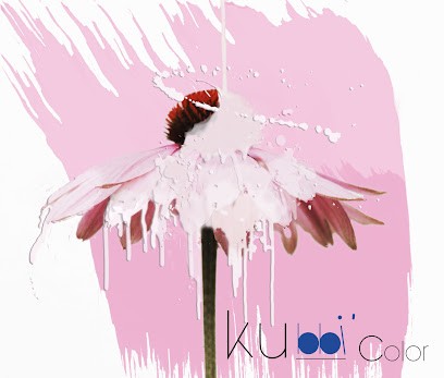 KUBBICOLOR, Magasin de Peintures à Castelnaudary