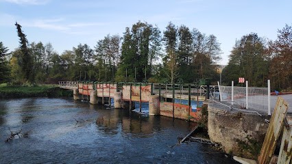 Derivery, Magasin de Peintures à Pont-Authou