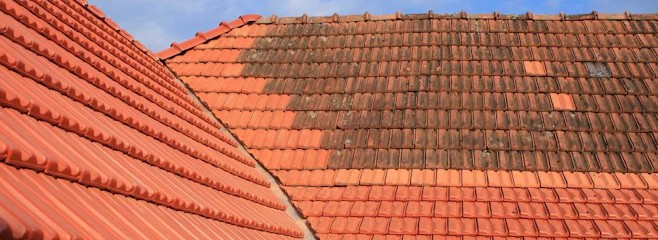 JM Rénovation, Peintre en Bâtiment à Lattes