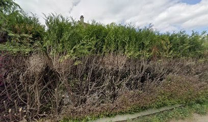Les Couleurs De Varennes, Peintre en Bâtiment à Varennes-Jarcy