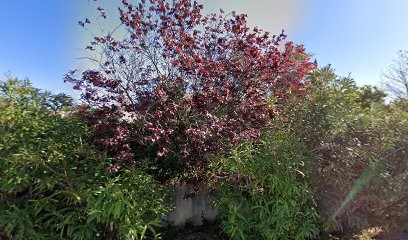 Caillaud Peinture, Peintre en Bâtiment à Saint-Nazaire-d'Aude