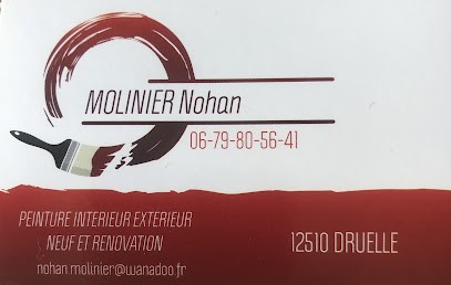 Molinier Nohan, Peintre en Bâtiment à Druelle Balsac