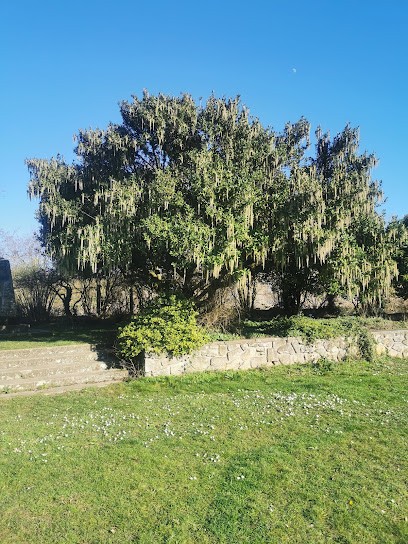 Carole Plantier - Artiste Peintre, Peintre en Bâtiment à Croissy-sur-Seine