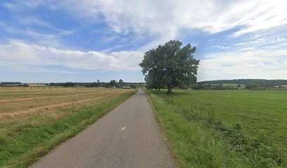 Delhier Yves, Peintre en Bâtiment à Lavigney