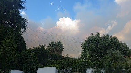 Arena Revetements, Peintre en Bâtiment à Marseille 11