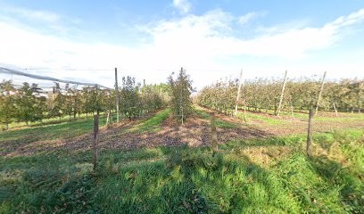 Delaine Eddie, Peintre en Bâtiment à Verrières-en-Anjou