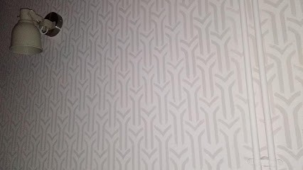 Joulia Pierre, Peintre en Bâtiment au Born