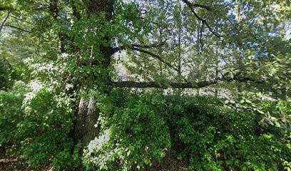 Didry Mickael peinture, Peintre en Bâtiment à Flayosc