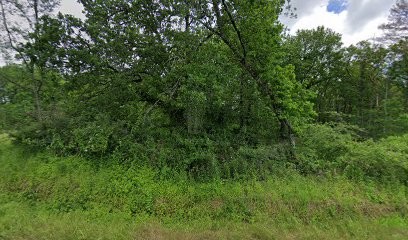 Christophe Traulet, Peintre en Bâtiment à Lisle-sur-Tarn