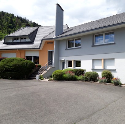 Gehin Frederic, Peintre en Bâtiment à Saint-Étienne-lès-Remiremont