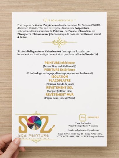 SO2PEINTURE, Peintre en Bâtiment à Bellegarde-sur-Valserine