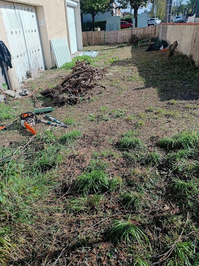 6000 Services (Simille), Peintre en Bâtiment à Balzac