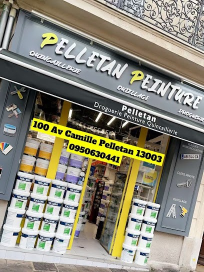 Pelletan Painting Nasri, Magasin de Peintures à Marseille 03