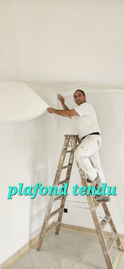 Loulmet Anglade SARL L.A Peinture, Peintre en Bâtiment à Savignac