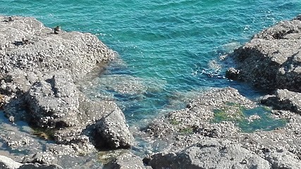 Thibaud Christophe, Peintre en Bâtiment à La Guérinière