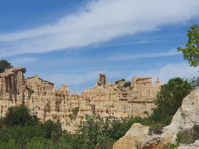 Dupré Roger, Peintre en Bâtiment à Ille-sur-Têt