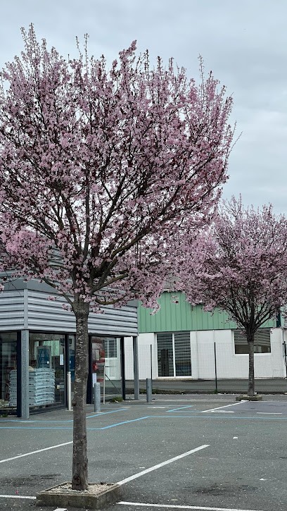 Societe Angerienne De Peinture, Peintre en Bâtiment à Saint-Jean-d'Angély