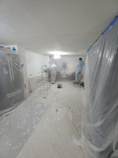 Wasourenova, Peintre en Bâtiment à Franconville