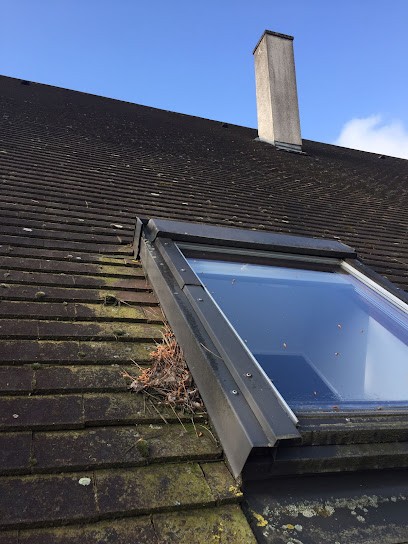 Tony Cribos - Idéal Peinture 95, Peintre en Bâtiment à Montmorency