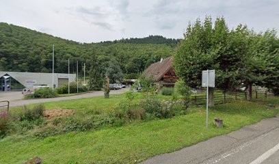 Ardizio Fernand, Peintre en Bâtiment à Thann