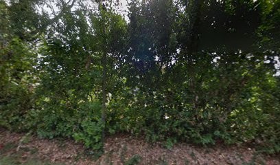 Deniaud, Peintre en Bâtiment à Condom