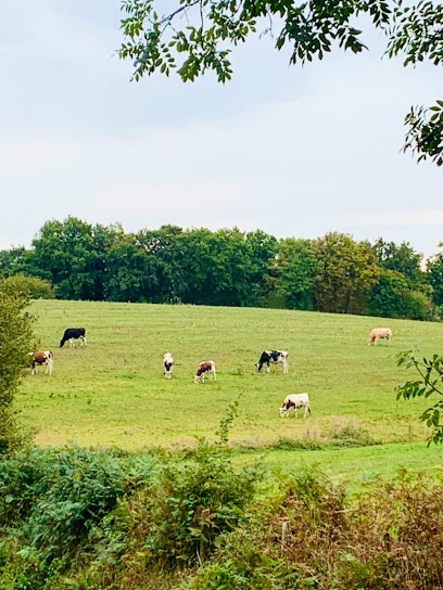 Savary Sylvain Jean, Peintre en Bâtiment à La Ferté Macé