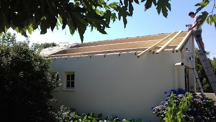 WV RENOV / Peintre Intérieur Extérieur - Demousage - Traitement - Protection Hydrofuge., Peintre en Bâtiment aux Sorinières