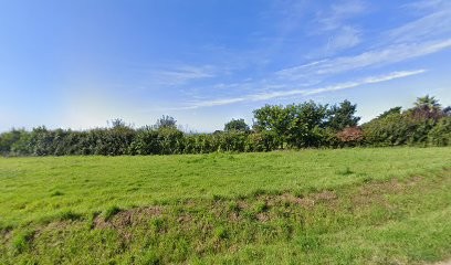 Sellin Bruno, Peintre en Bâtiment à Névez