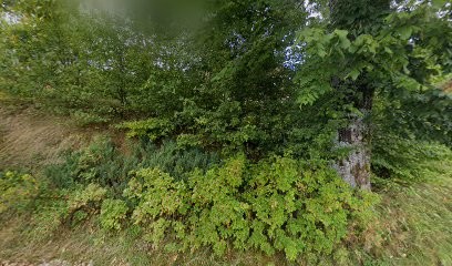 Rodriguez Miguel, Peintre en Bâtiment à Touillon-et-Loutelet