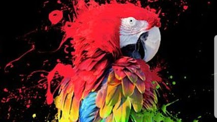 Moulie Julien Peinture.MJP. Peintre, Tapissier,vitrier, Peintre en Bâtiment à Lézignan