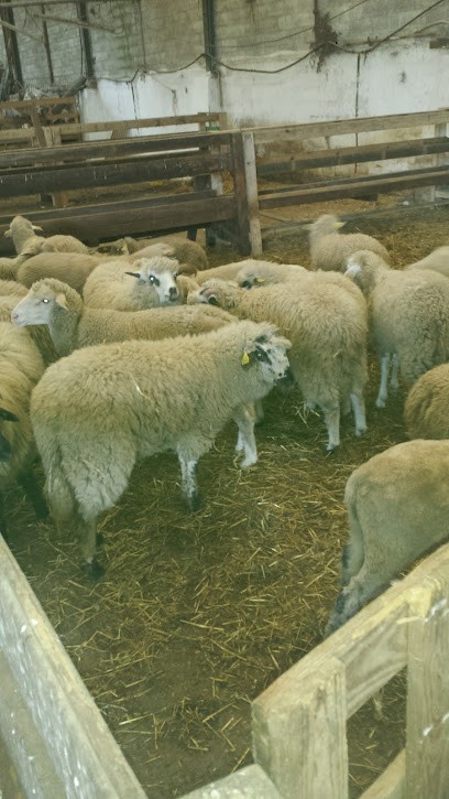 F.l Arc-en-ciel, Peintre en Bâtiment à Hénin-Beaumont