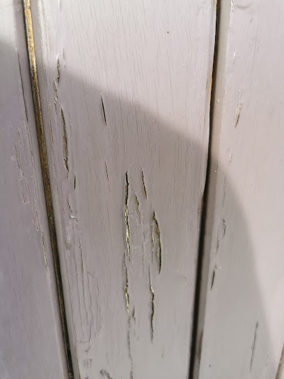 FINETTI, Peintre en Bâtiment à Saint-Léger-du-Bourg-Denis