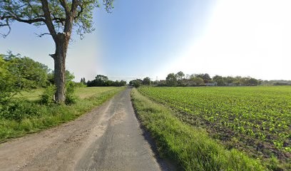 Pelgas Michel, Peintre en Bâtiment à Saujon