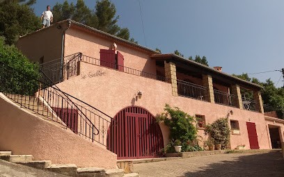 Artisan Peintre Regusse Deloustal Thierry, Peintre en Bâtiment à Régusse